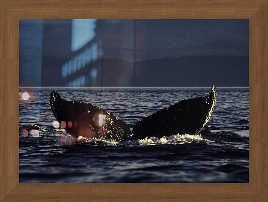 Crescent Picture Frame print