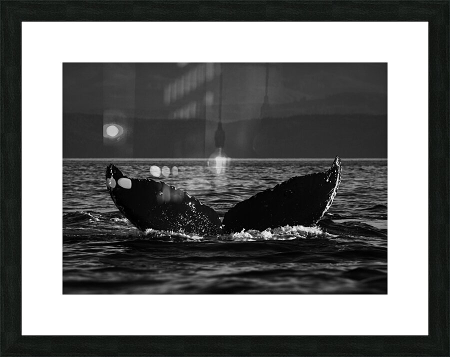Crescent - Black & White Picture Frame print