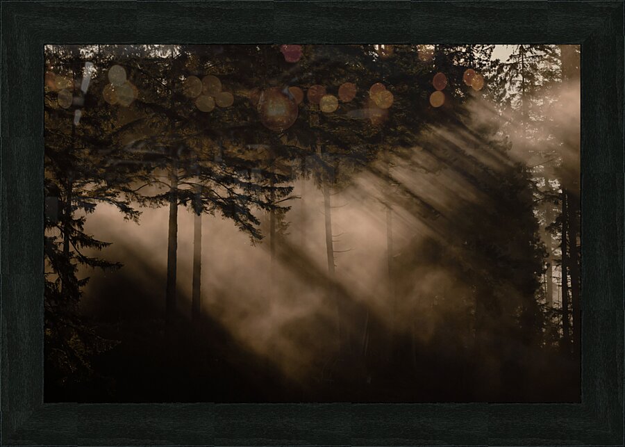 Daybreak  Picture Frame print