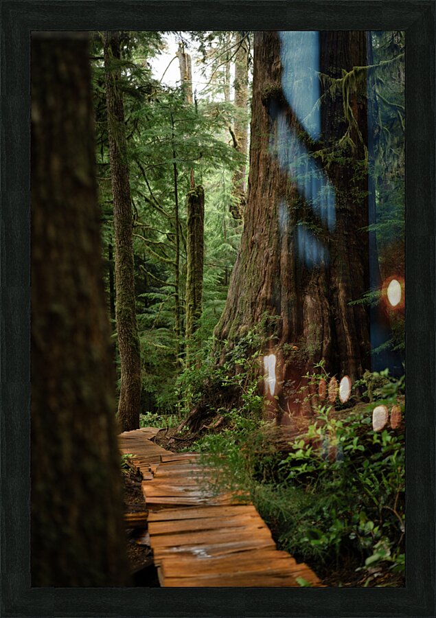 Guidance  Picture Frame print