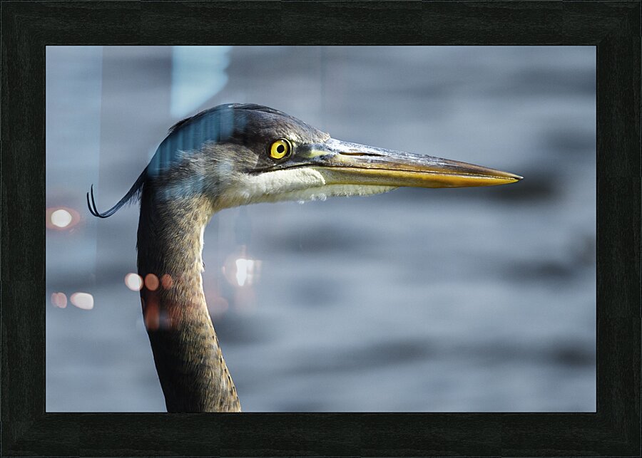 KIN-D  Picture Frame print