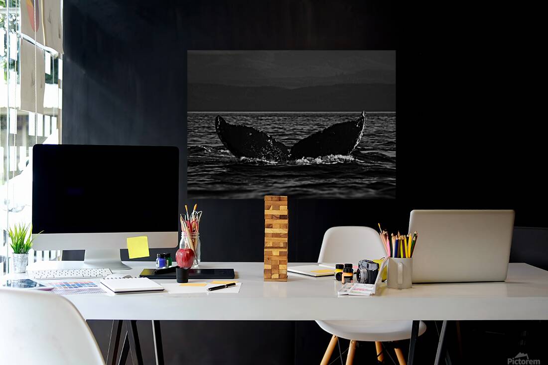 Crescent - Black & White Reproduction