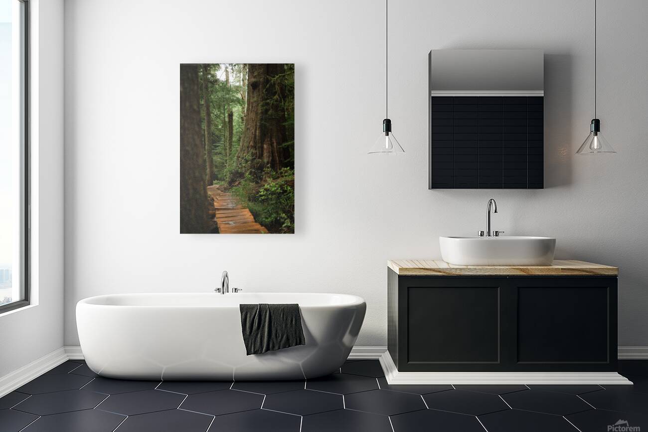 Guidance  Reproduction