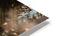 Daybreak  HD Metal print