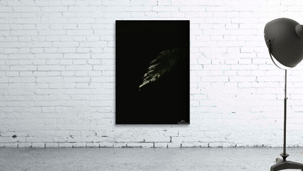 Eclipse  Wall Preview