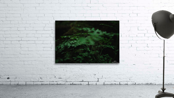 Huckle Haven  Wall Preview