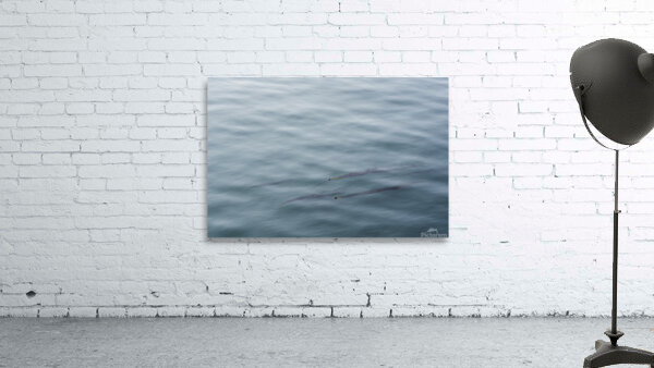 Serenity Wall Preview