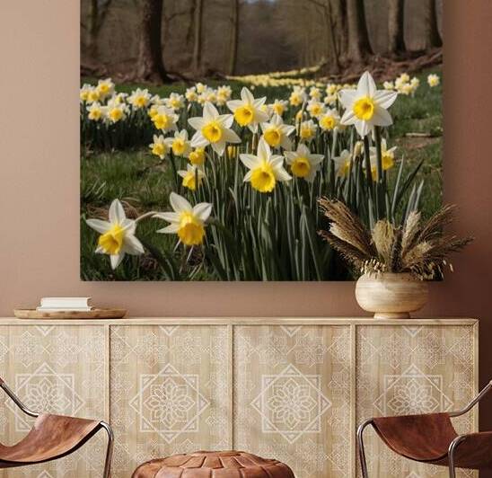 Narcissus Flower Forest by Mero Shop