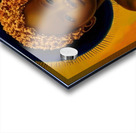 Indigo Kid Fire Within 12 Acrylic print