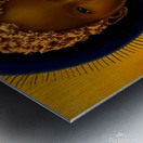 Indigo Kid Fire Within 12 Metal print