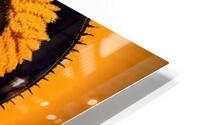 Indigo Kid Fire Within 2 HD Metal print