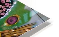 Aunties Wings HD Metal print