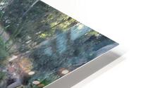 Jordan River HD Metal print