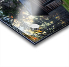 Cabin On The Battlefield Acrylic print