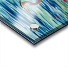 Great Blue Heron Acrylic print