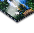 Flowers On The River Acrylic print