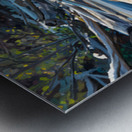 Along The Lake Metal print