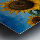 Sunflower Metal print