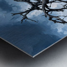 Ghost Valley Tree Metal print