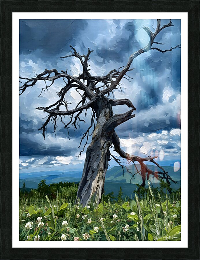 Ghost Valley Tree Picture Frame print