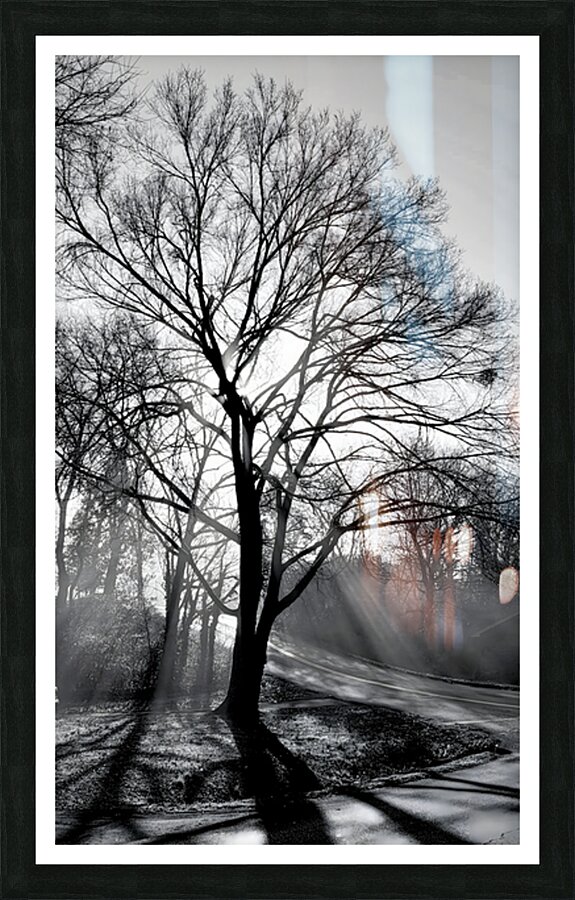 Fractured Light Picture Frame print