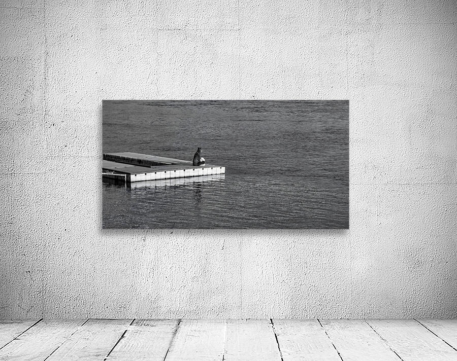 Calm Waters Wall Preview