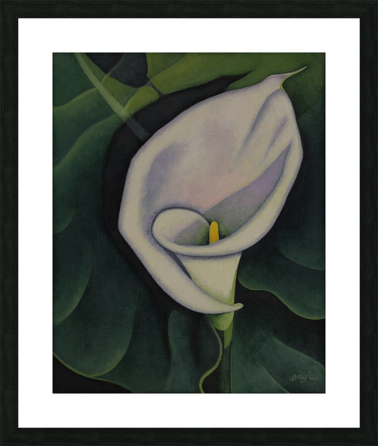 Calla Lily Picture Frame print