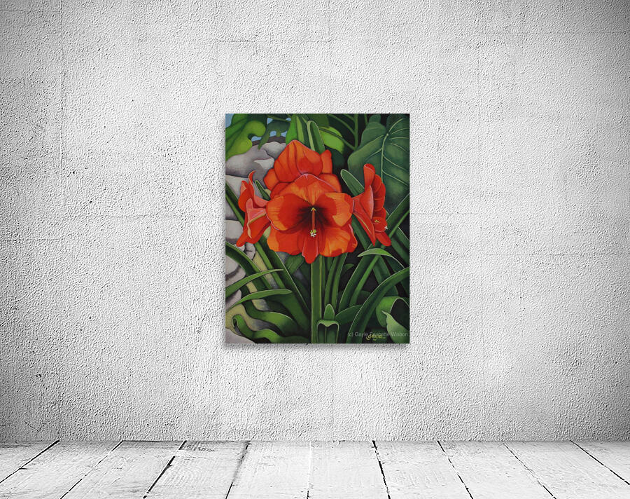 Amaryllis Wall Preview