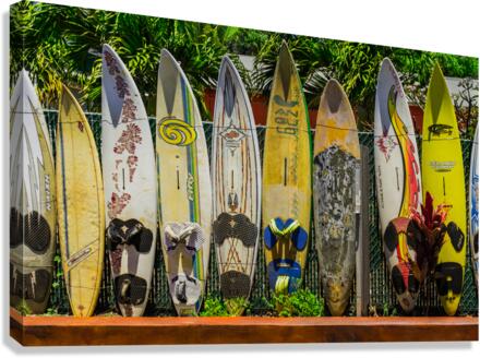 Hawaii Fence Canvas Print