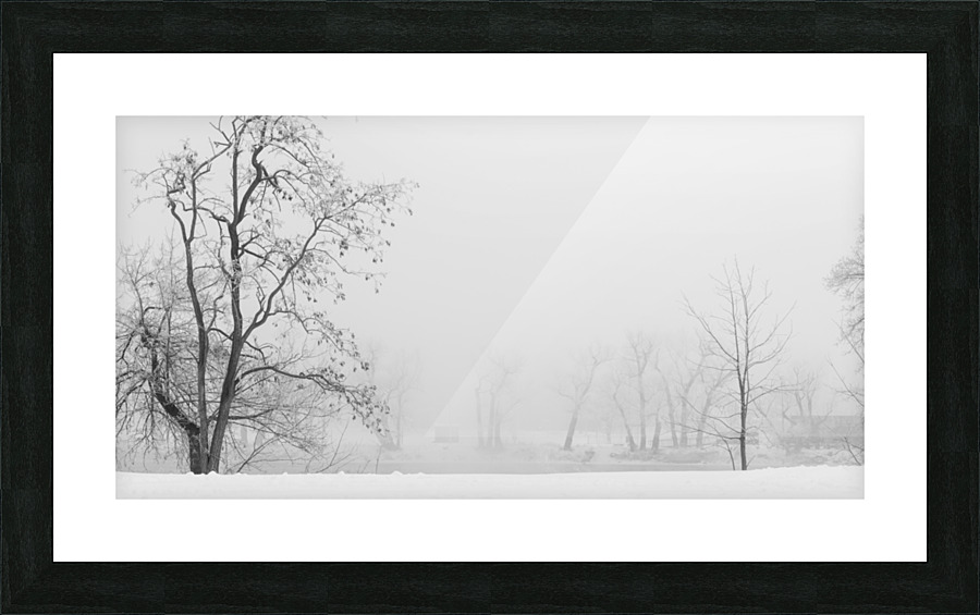 Winter fog Picture Frame print