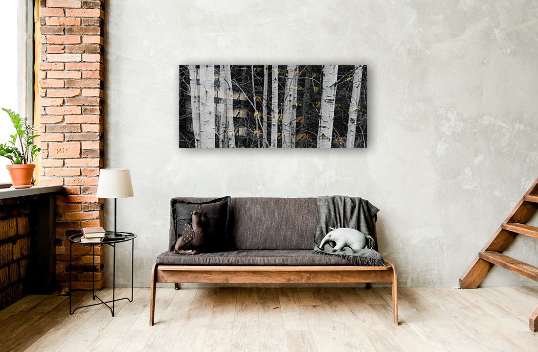 birch Trees Reproduction