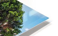 Surfer Fence HD Metal print