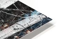 birch Trees HD Metal print