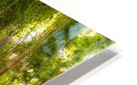 Bamboo Forrest HD Metal print