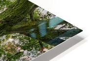 River Park HD Metal print