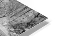 Reflections HD Metal print