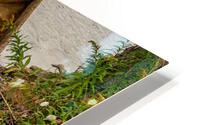 The Canoe HD Metal print