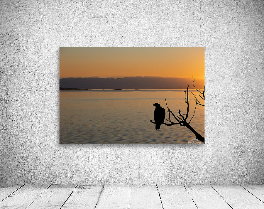 Eagle Look out Wall Preview