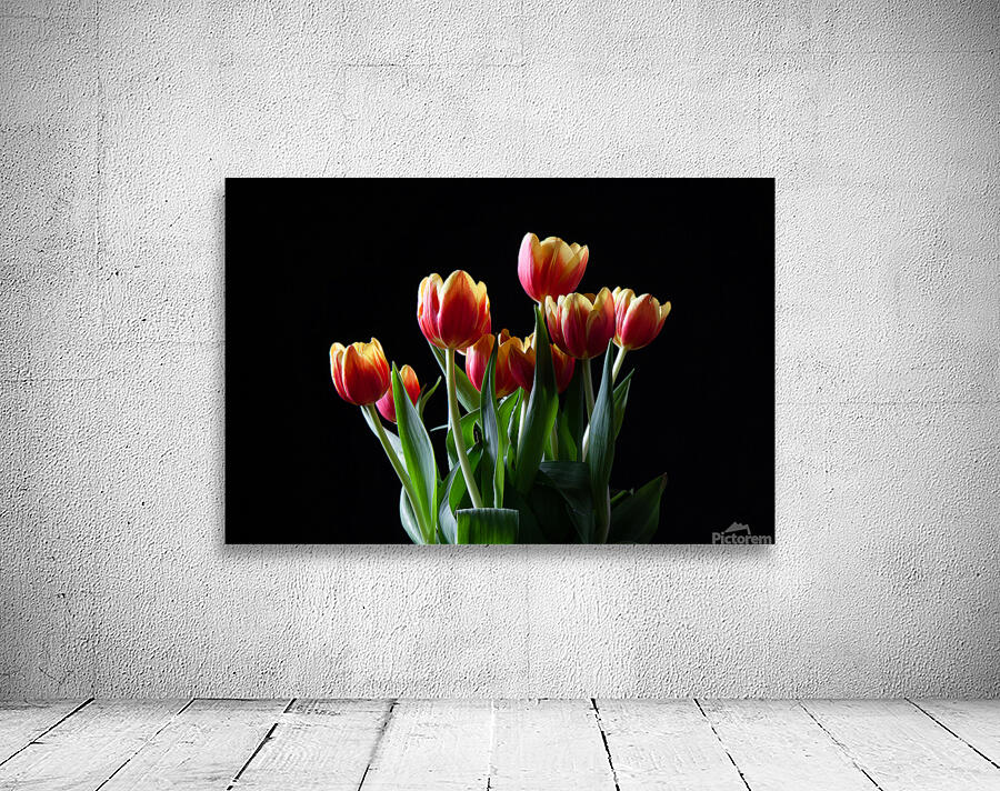 tulips Wall Preview