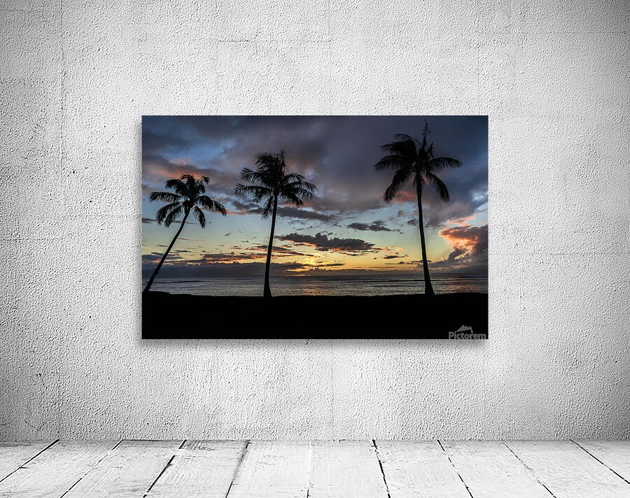 Three Palms Wall Preview