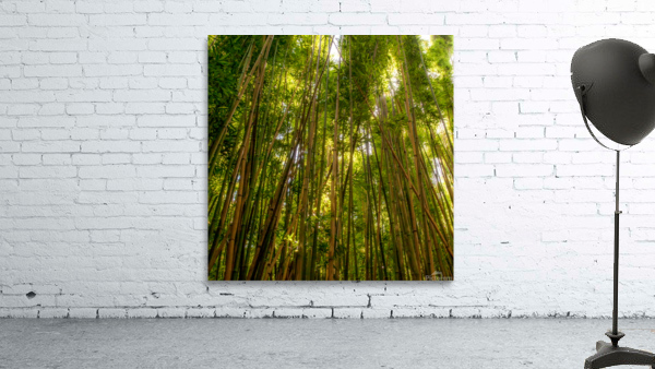 Bamboo Forrest Wall Preview