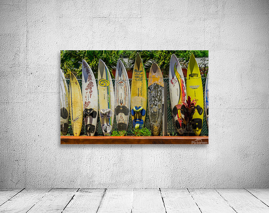 Hawaii Fence Wall Preview