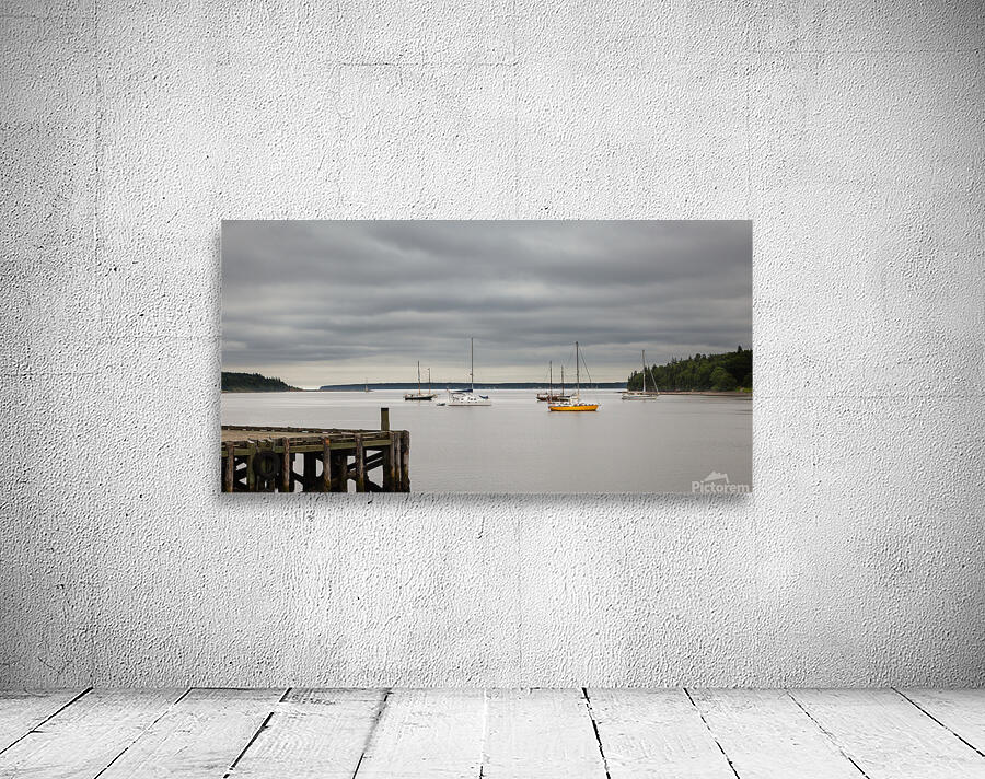 The Harbour Wall Preview