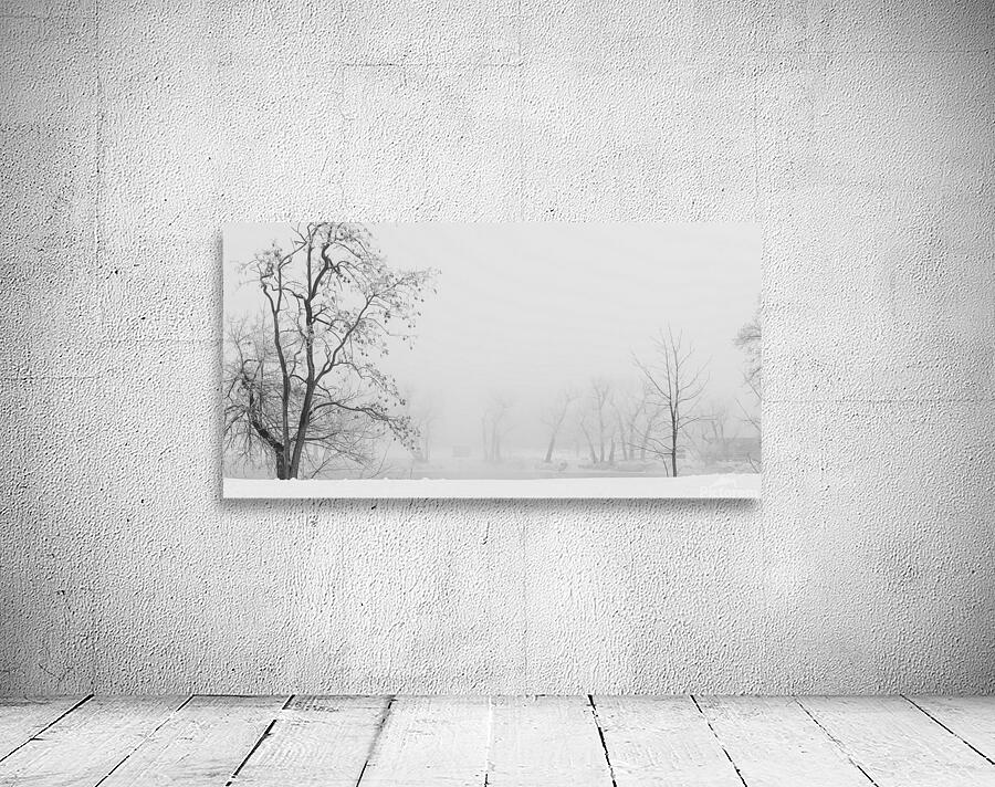 Winter fog Wall Preview