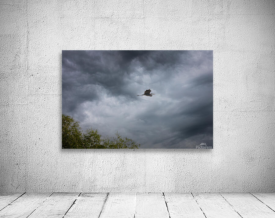 Flying Blue Heron Wall Preview