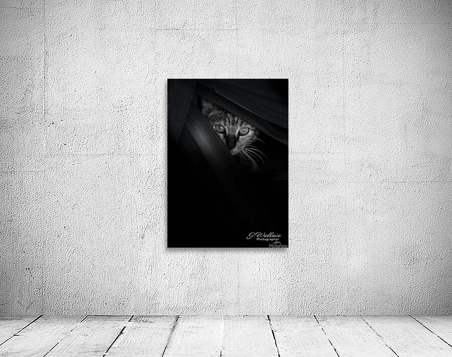 KC Wall Preview