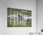 Effet miroir Acrylic Print