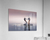 Ballet Acrylic Print
