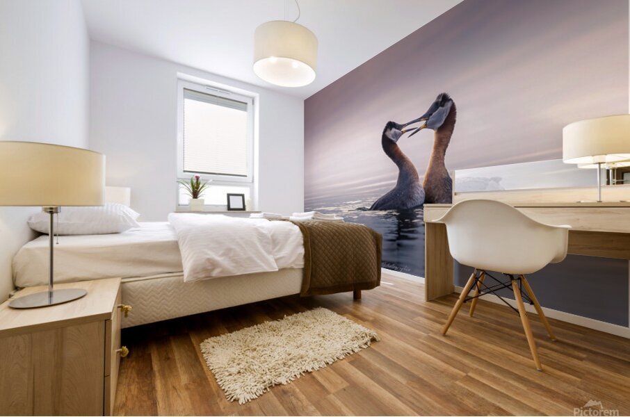 Ballet Mural print
