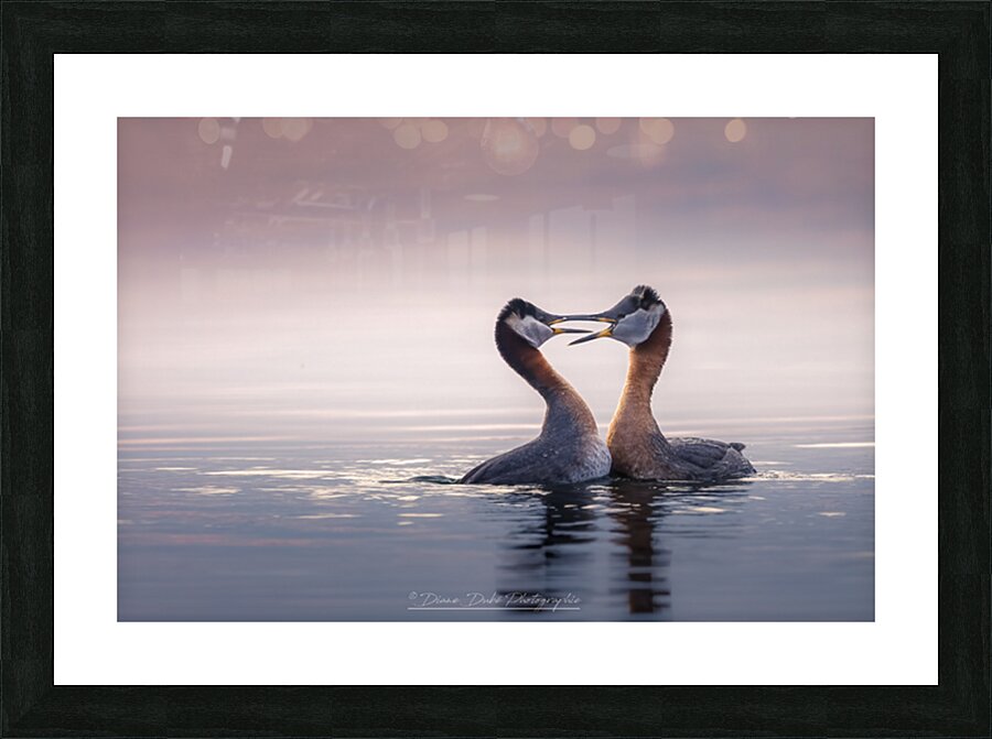 Ballet Picture Frame print